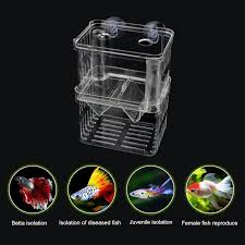 Pf Isolation PF Aquarium Isolation Box (for breeding or quarantine use) – J Aquatic ...